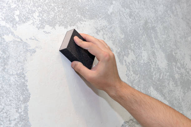 Mold Remediation for Vacation Homes in Port Republic, NJ