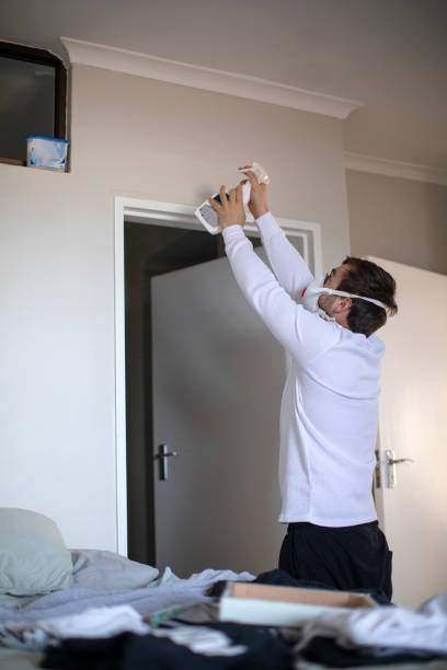 Best Mold Remediation for Healthcare Facilities  in Port Republic, NJ