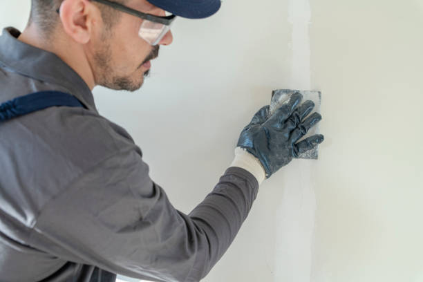 Best Mold Odor Removal Services  in Port Republic, NJ