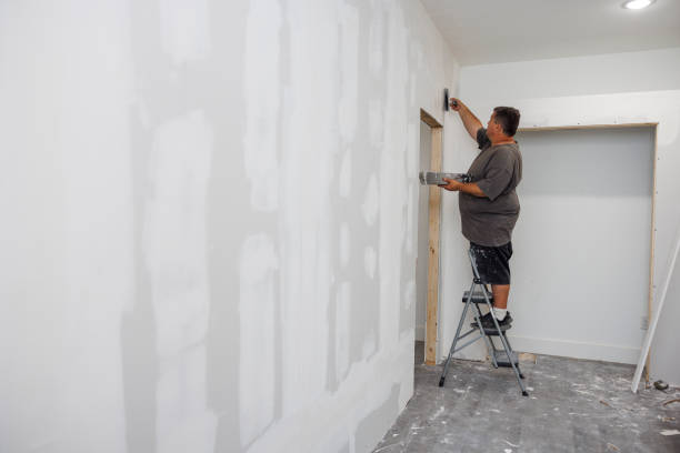 Trusted Port Republic, NJ Mold Removal Experts